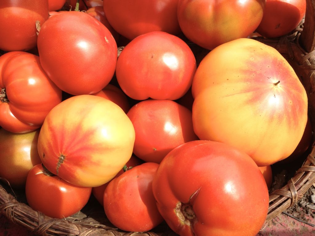 heirloom-tomatoes-1188815